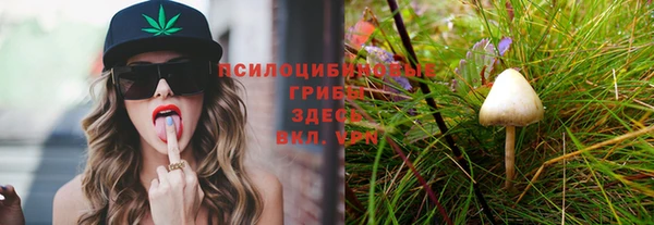 кокс Абаза