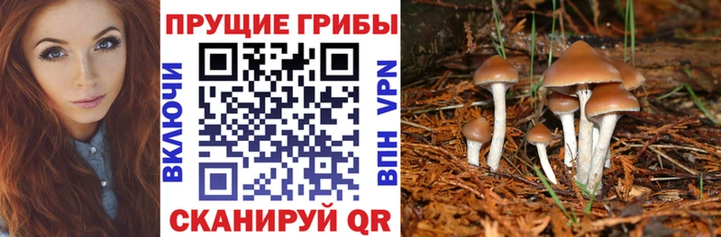 hydra маркетплейс  Белоозёрский  Галлюциногенные грибы мухоморы 